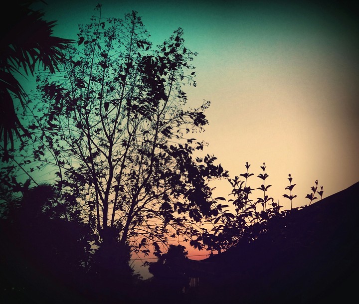 wonderful and peaceful evening 