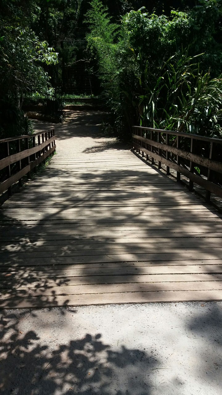 Natureza