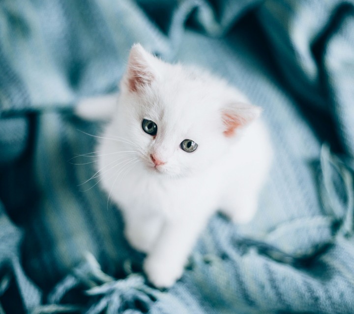 cute