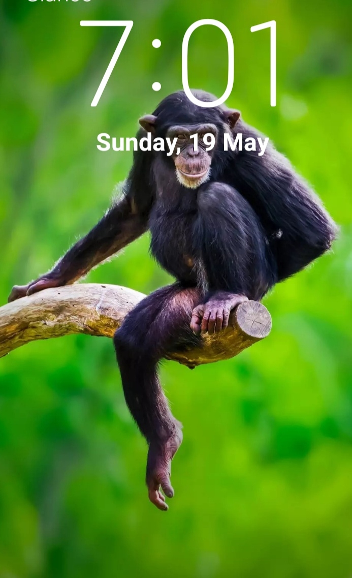 TINU BABA 007