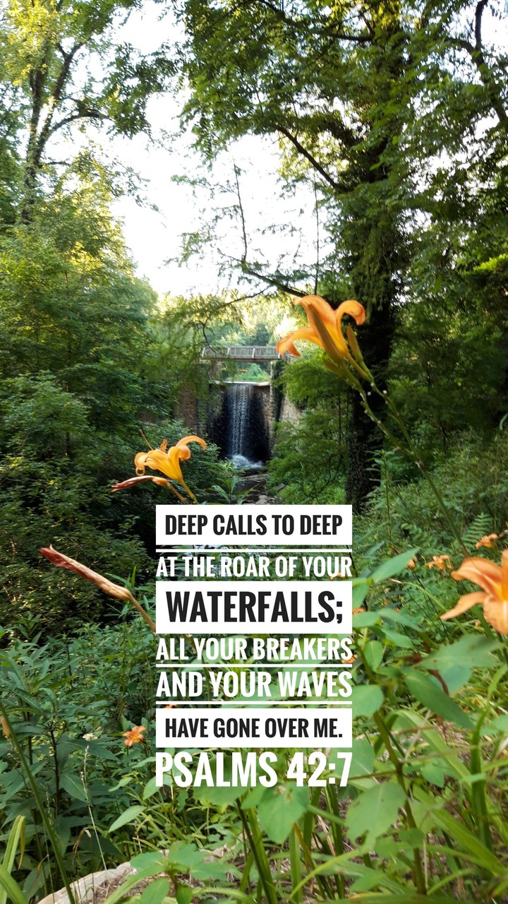 flowery waterfal
