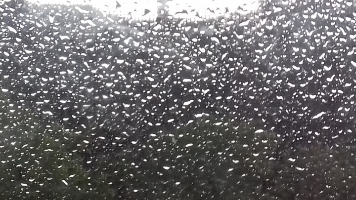 raind drop