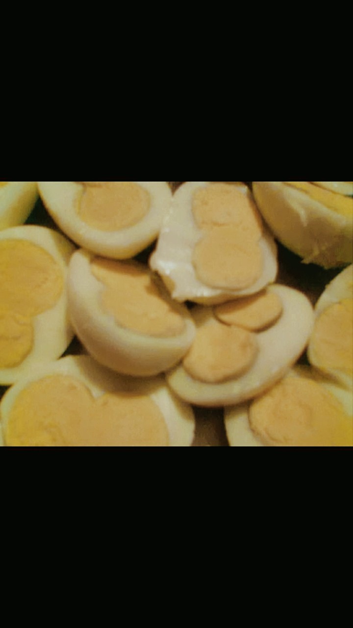 egg