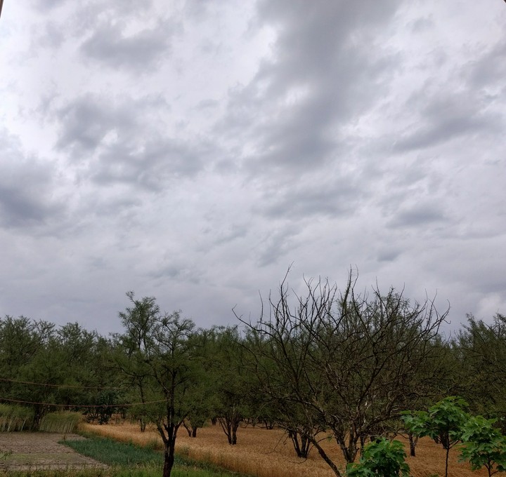 Watery Cloud