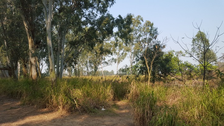 Nature