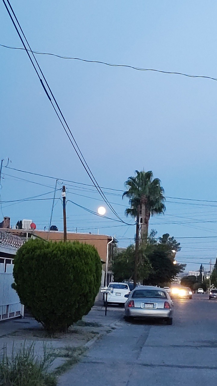 Col. Guadalupe