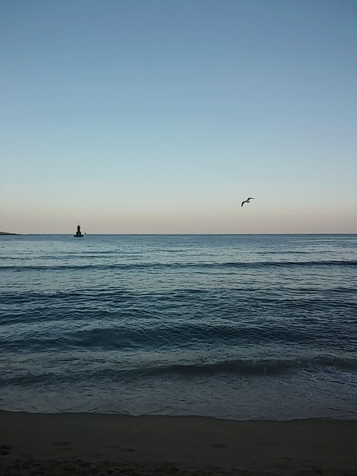 sea