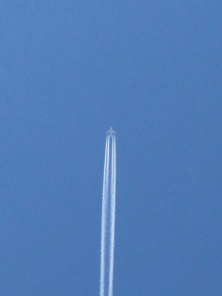 Plane