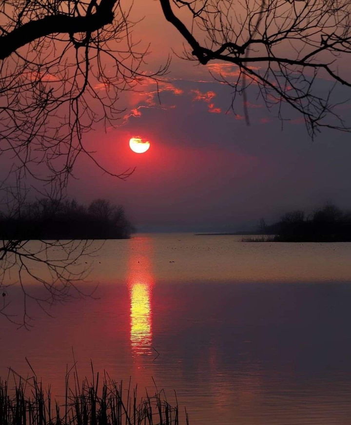 Absolutely Beautiful ❤