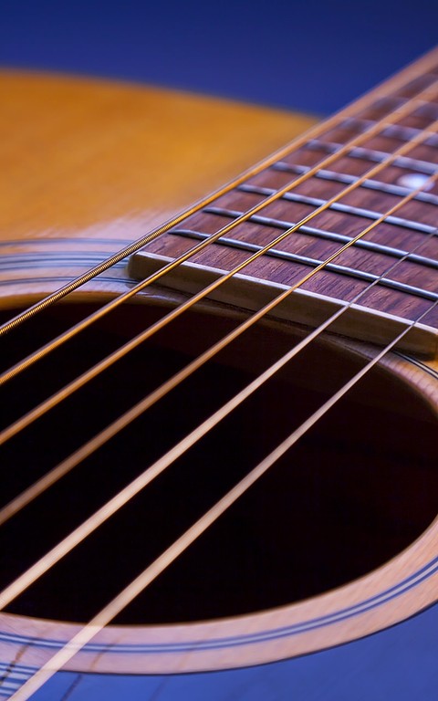 Guitar
