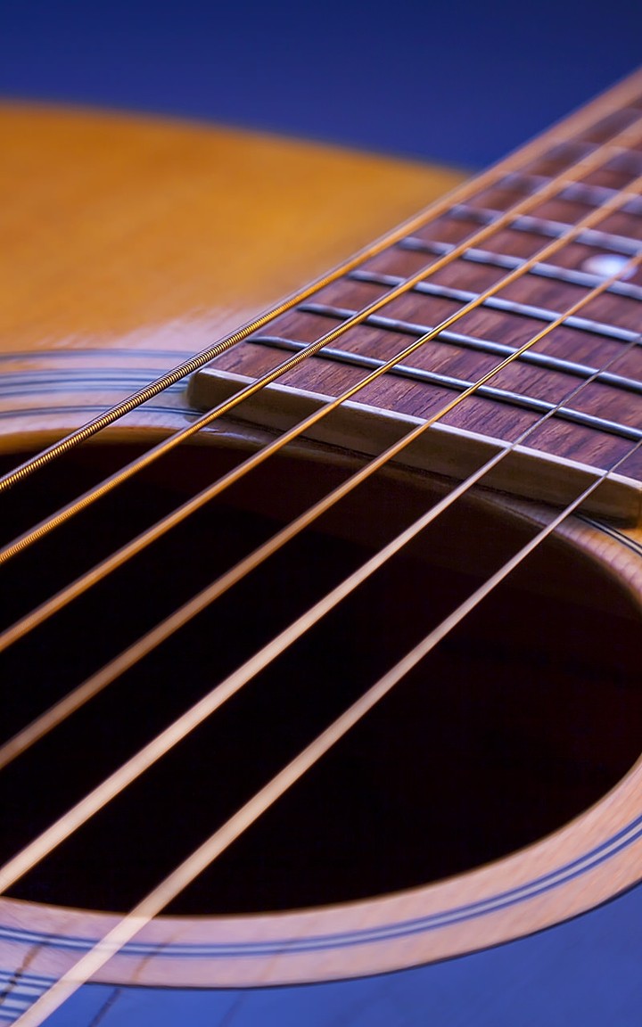 Guitar