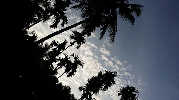 Awesome