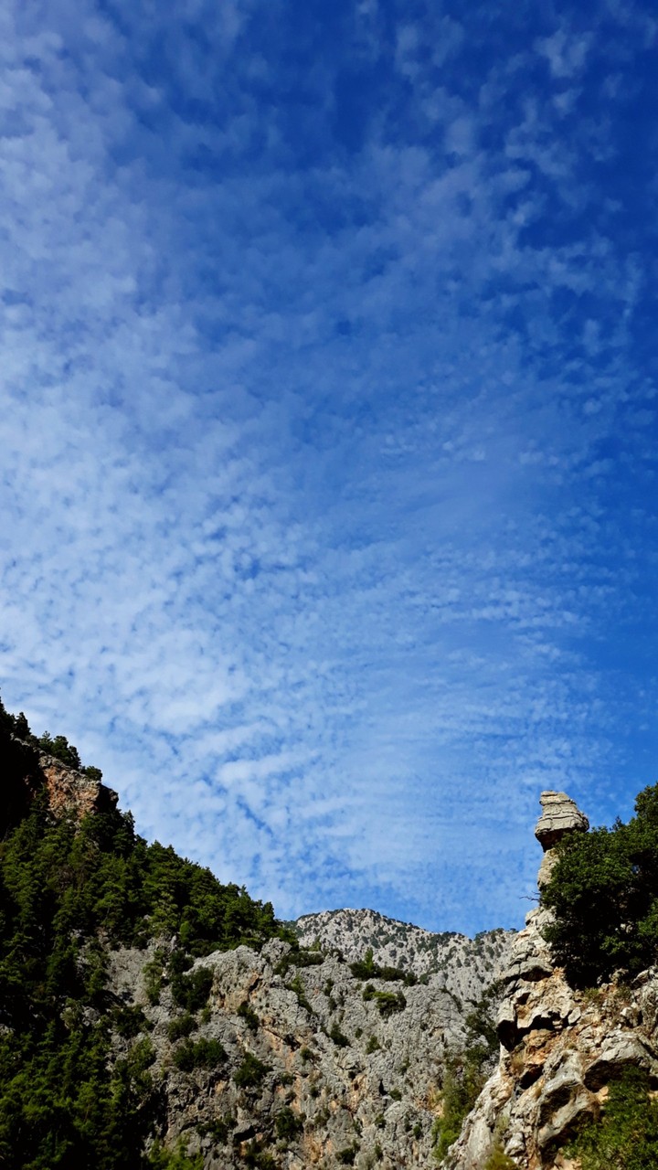 Sky