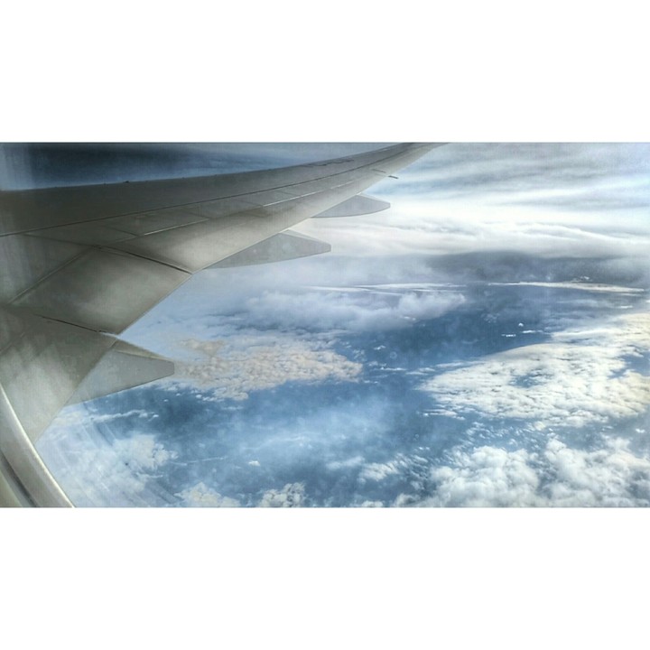 Wing on the sky