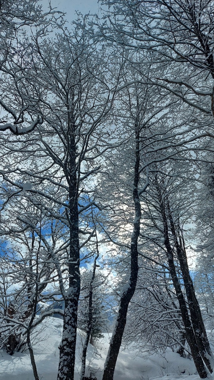 Winter time