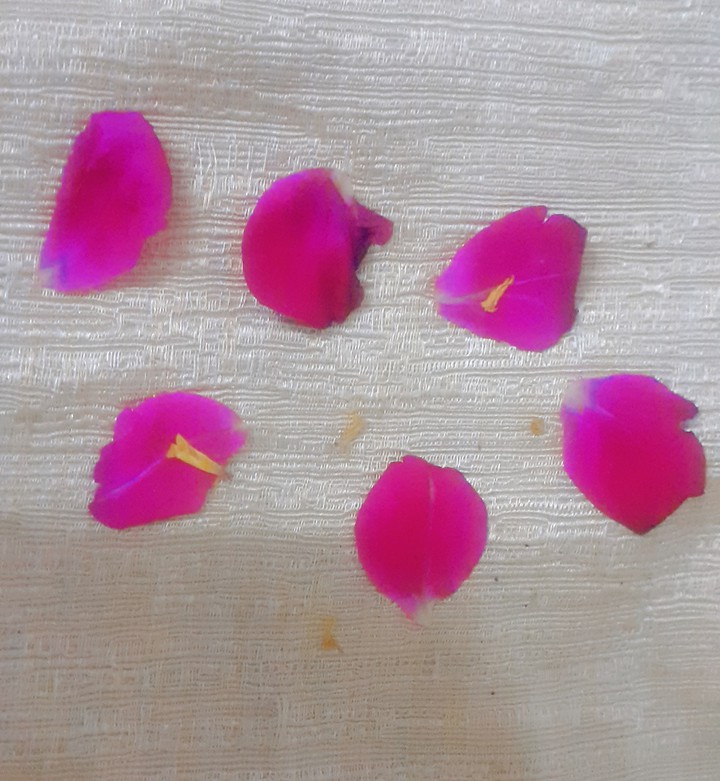 Petals