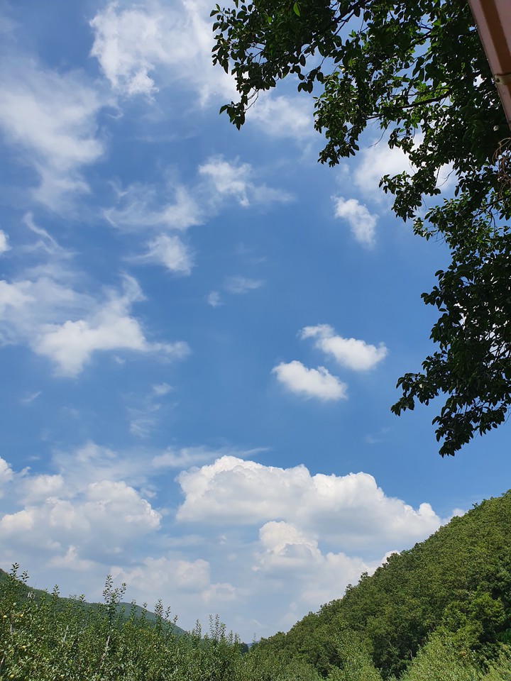 SKY 하늘