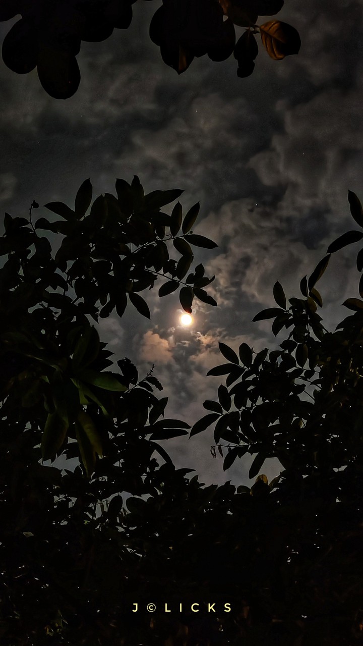 Along Moon