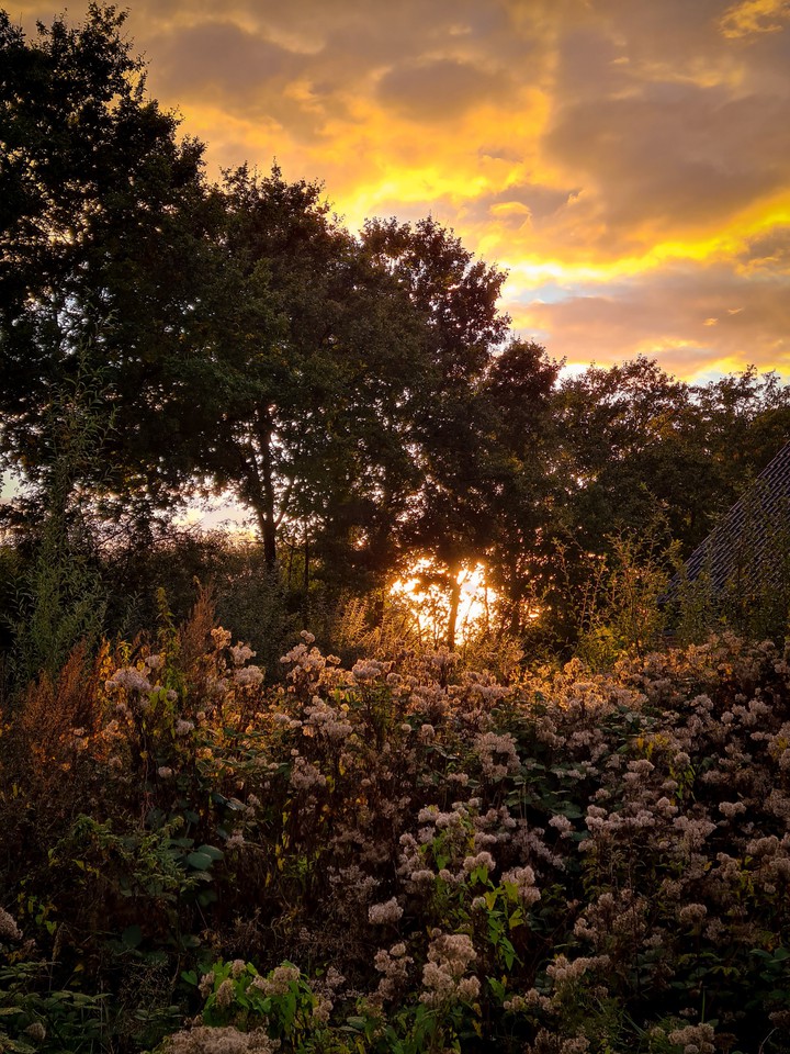 Autumnal bliss