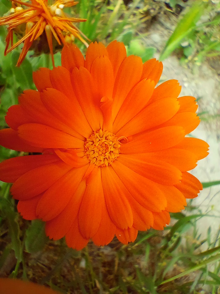 Beautiful