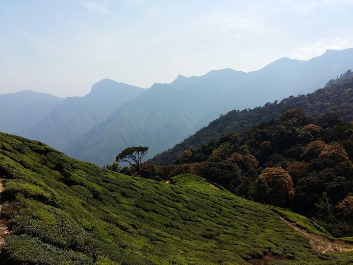Munnar