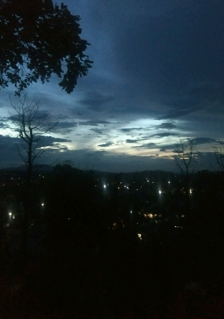 Nature