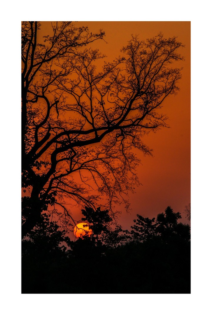 beauty of sunset