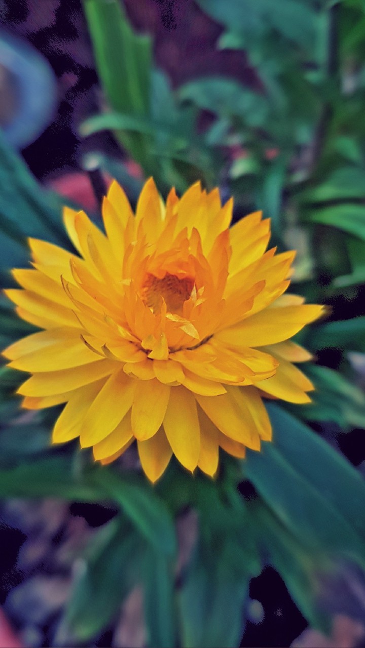 happy yellow