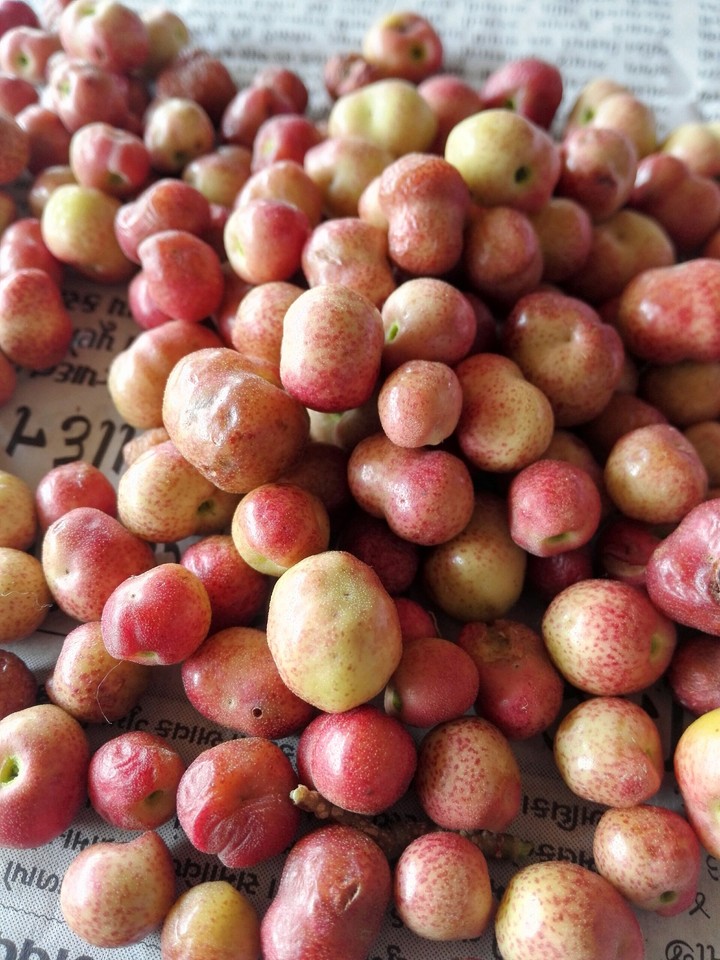 small berries called dhamna