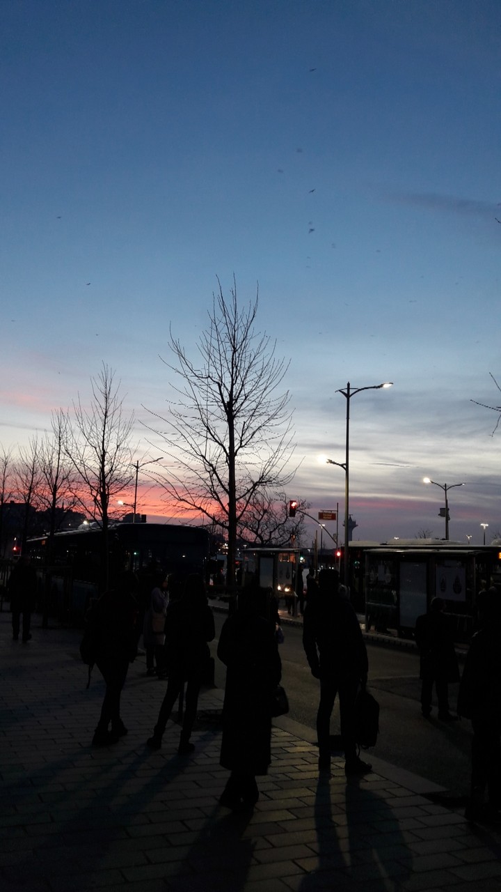 Sunset