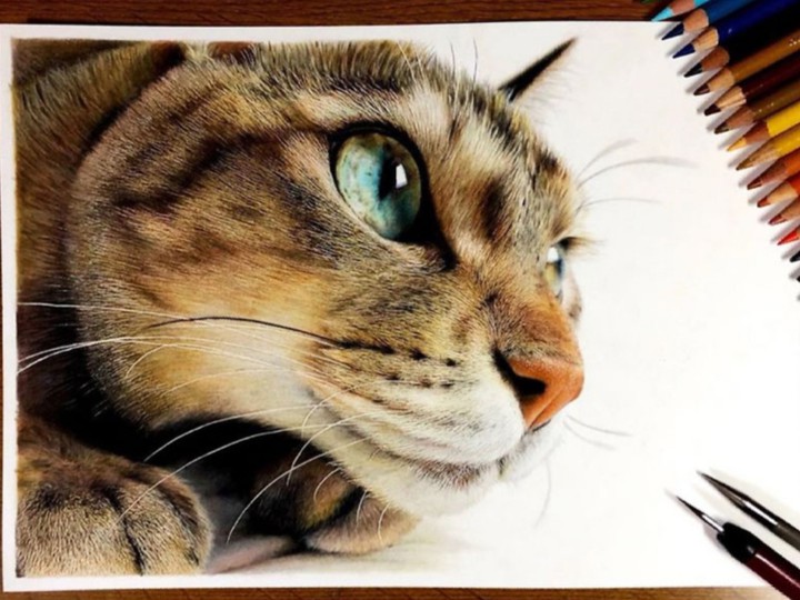 dessin