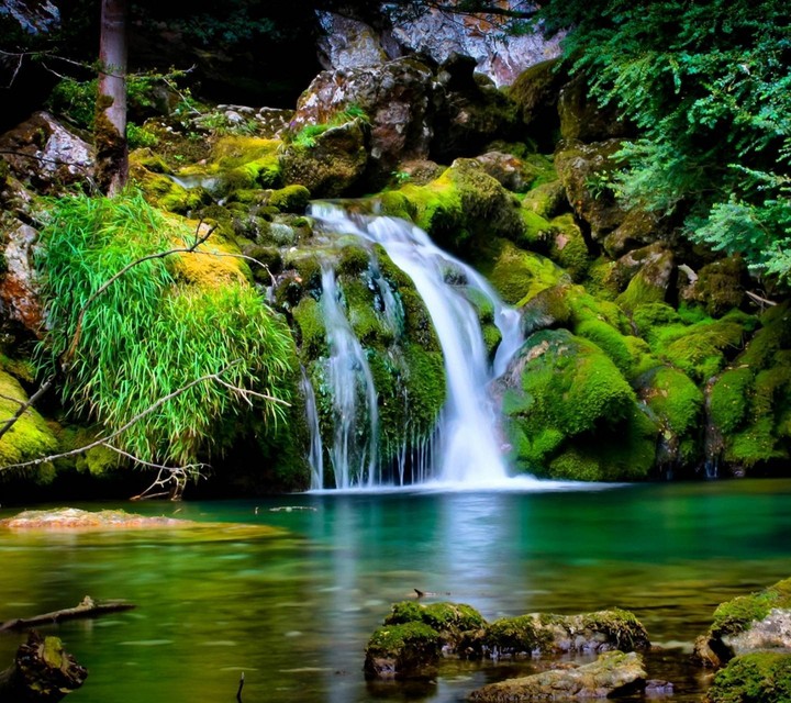 by endless jassi