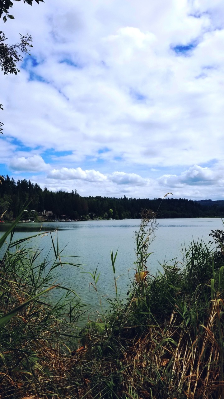 #lakeview on a summer day