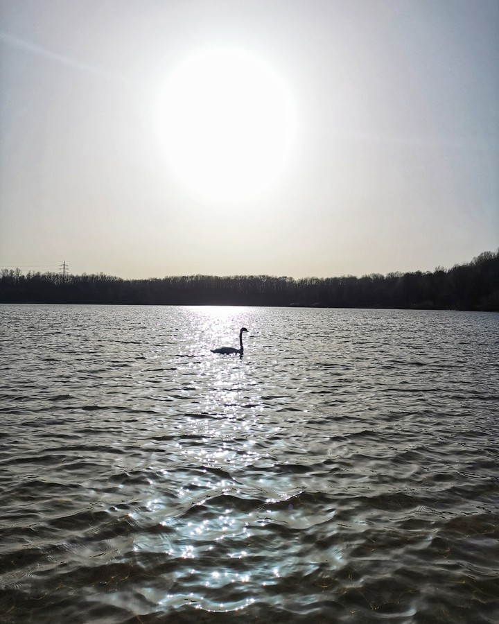 quit lake