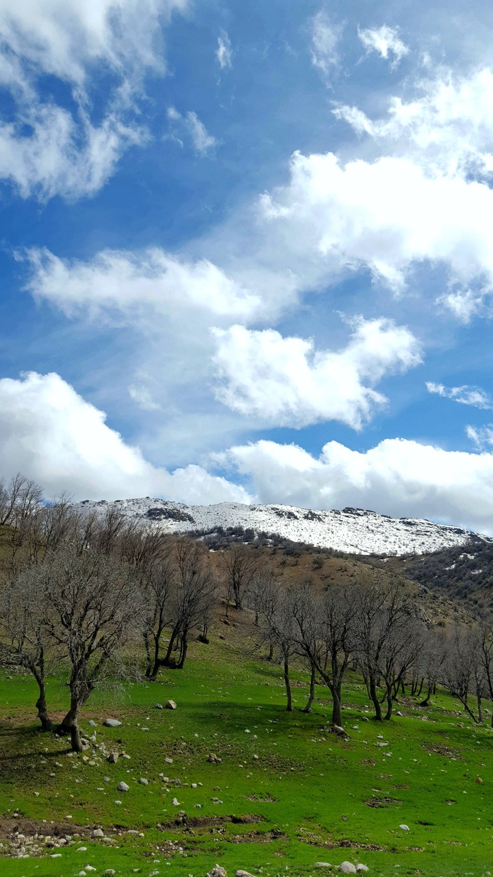 لرستان