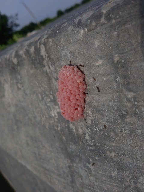 concrete, Rock壁纸