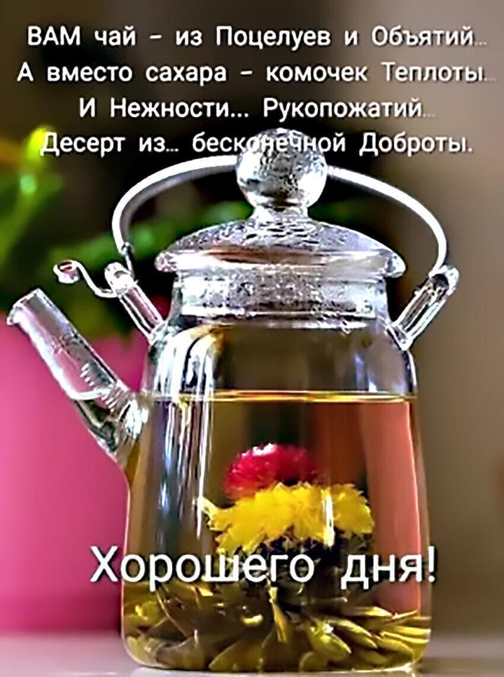 люблю вас!