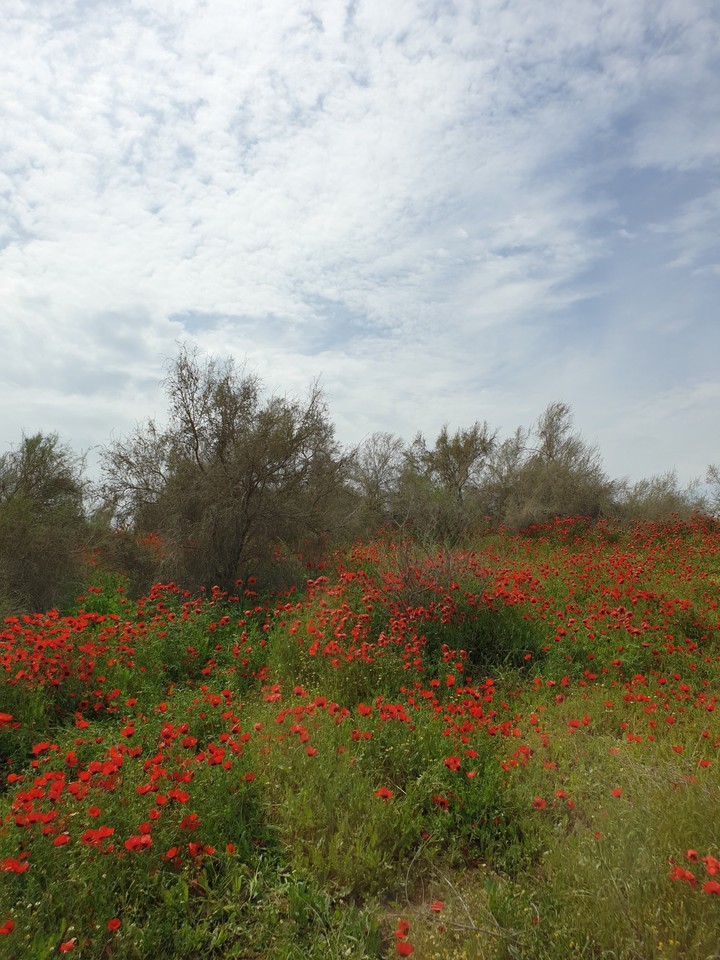 Mary, Turkmenistan