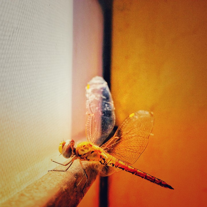 let me rest for awhile