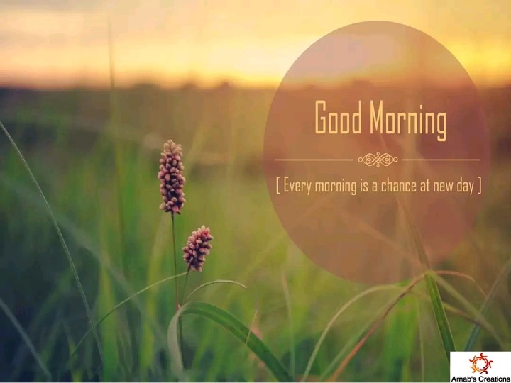 good morning
