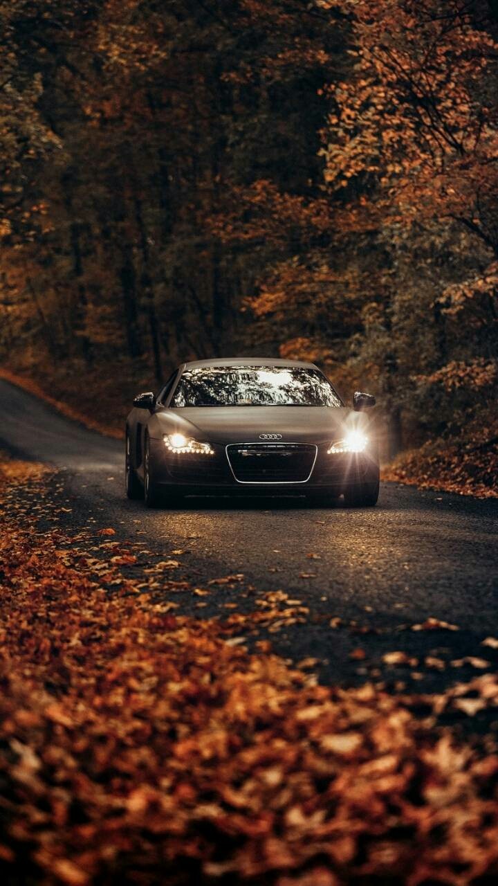 feel the ride