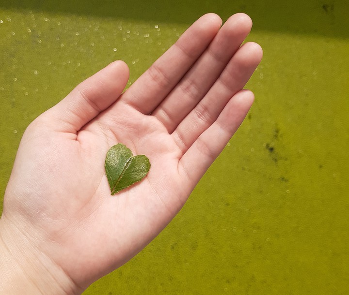 ~~<3