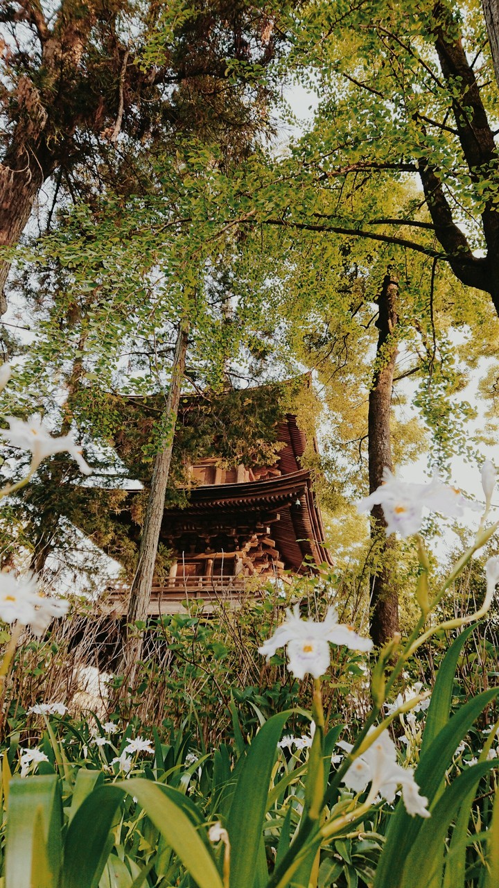 三重塔