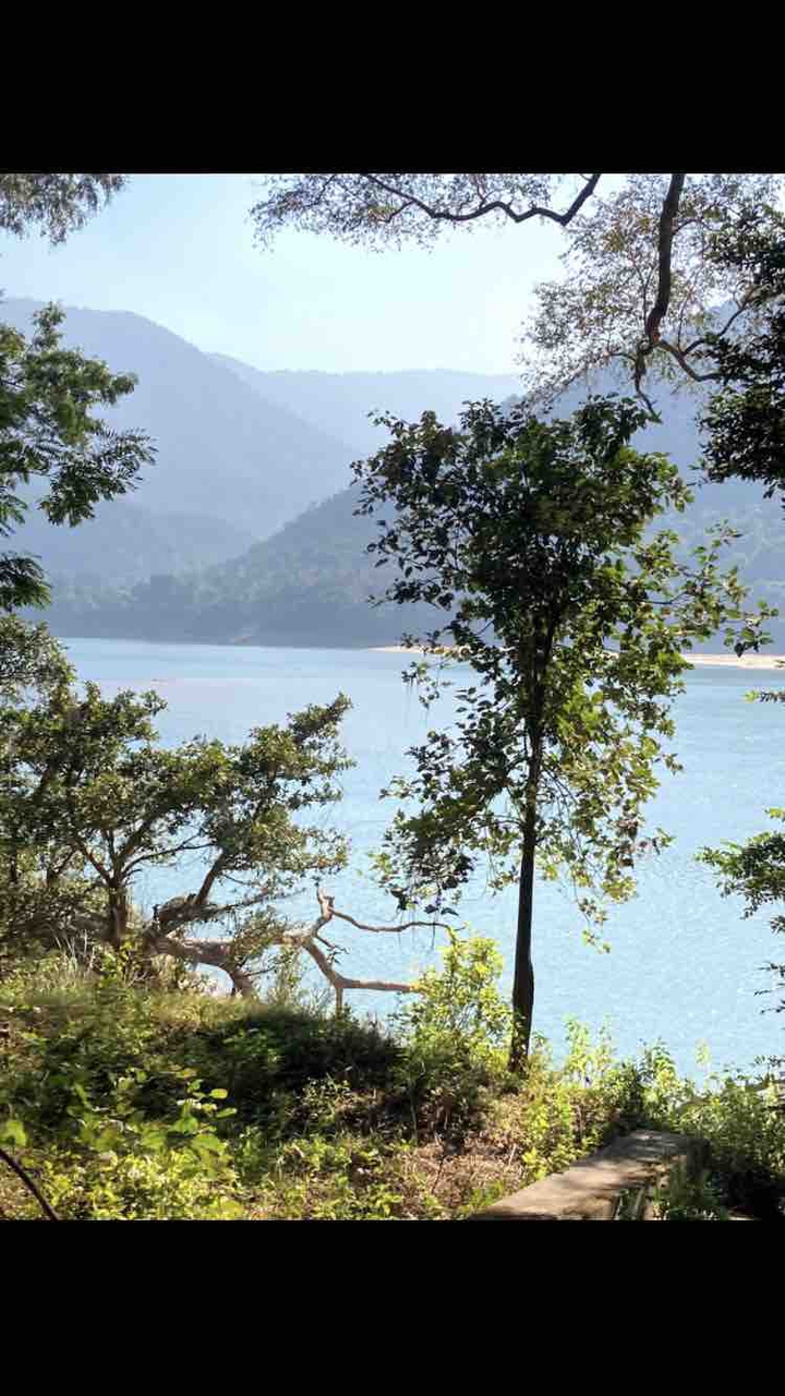 majestic scenes of tikerpada Odisha