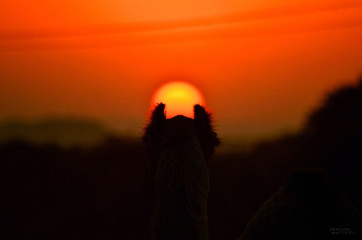 serene sunset