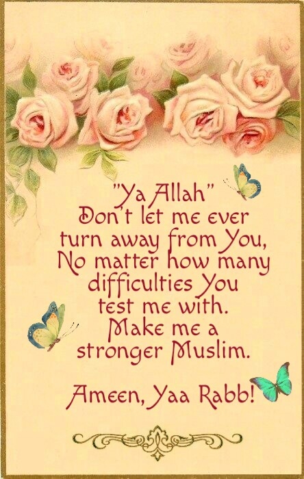 Dua