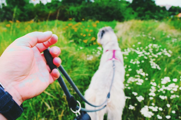 Take a walk.