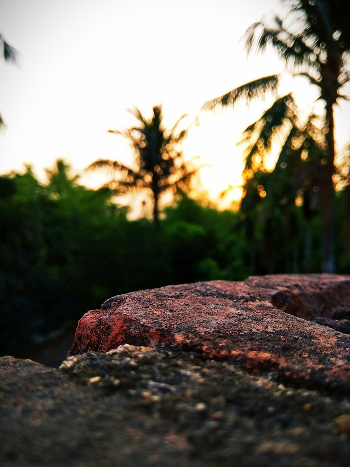 THE SUNSET