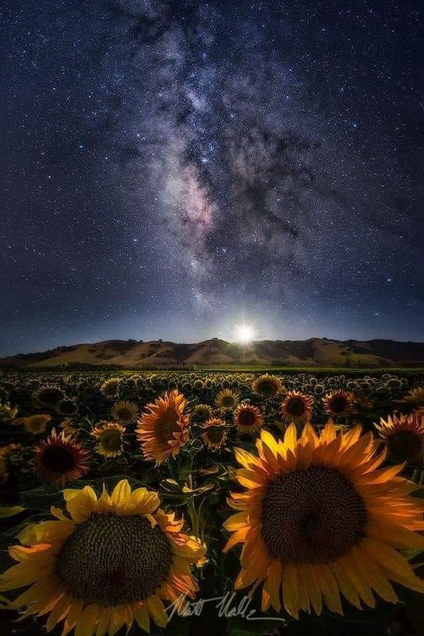 Beautiful ❤️