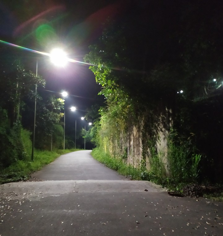 night walk